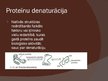 Prezentācija 'Ārējas vides faktoru ietekme uz proteīniem', 8.