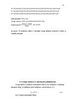 Referāts 'Līzinga izmantošana uzņēmējdarbībā', 22.