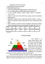 Referāts 'Veselīgs uzturs', 5.