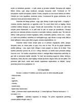 Referāts 'Veselīgs uzturs', 6.