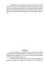 Referāts 'Veselīgs uzturs', 13.