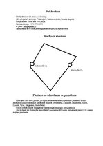 Konspekts 'Divu dienu pārgājiena plāns', 5.