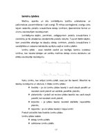 Referāts 'Medicīnisko iekārtu drošums', 17.