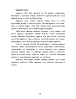 Referāts 'Medicīnisko iekārtu drošums', 29.