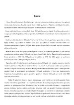 Konspekts 'Klavieru, flīgeļu ražotāji', 9.