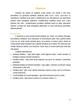 Referāts 'Skolēns mūsdienīgi tehniski nodrošinātā klasē', 15.