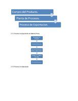 Referāts 'Exportación de ciruelas deshidratadas al mercado alemán', 21.