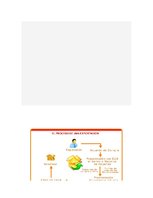 Referāts 'Exportación de ciruelas deshidratadas al mercado alemán', 26.