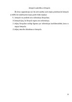 Referāts 'Interpola galvenie darbības virzieni', 19.