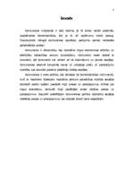 Referāts 'Konkurences būtība un izpausme starptautiskajā tirgū', 2.