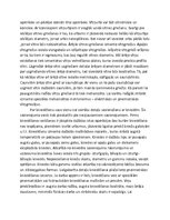 Konspekts 'Atslēdzniecība', 7.