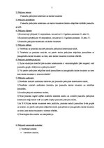 Referāts 'Pusaudžu pašizjūtas konstrukti un skolas trauksme', 3.