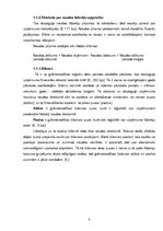 Referāts 'Maksātnespēja un bankrota draudi uzņēmumā SIA "Vilanta"', 5.