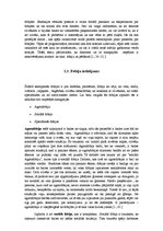 Referāts 'Fobijas jauniešu vidū Latvijā', 4.