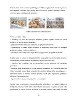 Biznesa plāns 'Pirmais bez iepakojuma veikals Jūrmalā SIA "Zaļais punkts"', 14.