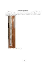 Referāts 'Dzeramā ūdens kvalitāte', 10.