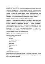 Paraugs 'Uzņēmuma IT apraksts', 2.