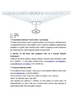 Paraugs 'Uzņēmuma IT apraksts', 3.