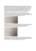 Konspekts 'Augstlēkšana pārsoļojot', 2.