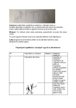 Konspekts 'Augstlēkšana pārsoļojot', 3.