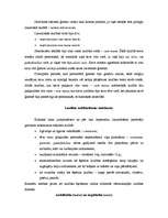 Referāts 'Ģimenes tiesības', 10.