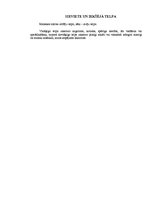 Referāts 'Identitāte: jaunība un krīze, Eriks H.Eriksons', 13.