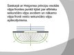 Prezentācija 'Heigensa princips', 6.
