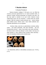 Referāts 'Nauda', 3.