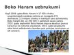 Prezentācija 'Īss pārskats pār Boko Haram grupējumu Nigērijā', 6.