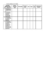 Paraugs 'Projekta budžeta plānošana', 5.