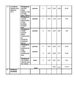 Paraugs 'Projekta budžeta plānošana', 6.