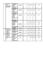 Paraugs 'Projekta budžeta plānošana', 7.