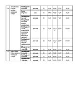 Paraugs 'Projekta budžeta plānošana', 8.