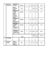 Paraugs 'Projekta budžeta plānošana', 9.