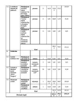 Paraugs 'Projekta budžeta plānošana', 10.