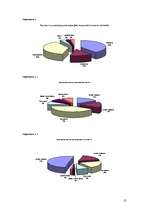 Referāts 'Latvijas banku pakalpojumi jauniešiem', 21.