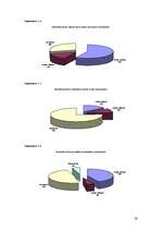 Referāts 'Latvijas banku pakalpojumi jauniešiem', 23.