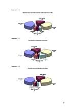 Referāts 'Latvijas banku pakalpojumi jauniešiem', 25.