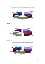 Referāts 'Latvijas banku pakalpojumi jauniešiem', 31.