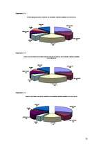 Referāts 'Latvijas banku pakalpojumi jauniešiem', 32.