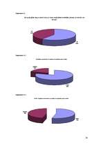Referāts 'Latvijas banku pakalpojumi jauniešiem', 36.