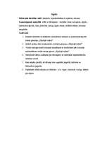 Konspekts 'Integrācijas eksāmena darbs', 6.