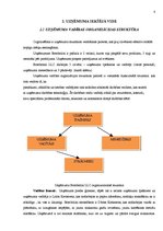 Prakses atskaite 'Uzņēmums "Bombolini"', 8.