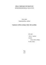 Referāts 'Uzņēmuma vadīšana mainīgas ārējās vides apstākļos', 1.