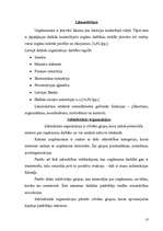 Referāts 'Uzņēmuma vadīšana mainīgas ārējās vides apstākļos', 10.