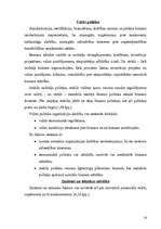 Referāts 'Uzņēmuma vadīšana mainīgas ārējās vides apstākļos', 14.