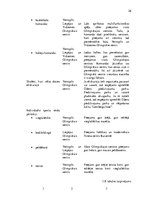 Diplomdarbs 'Ventspils, Liepājas un Vidzemes olimpisko centru saimnieciskās darbības salīdzin', 26.
