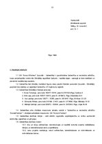 Biznesa plāns 'SIA "Arona & partneri"', 13.