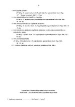 Biznesa plāns 'SIA "Arona & partneri"', 28.