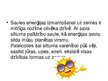 Prezentācija 'Saules enerģija', 4.